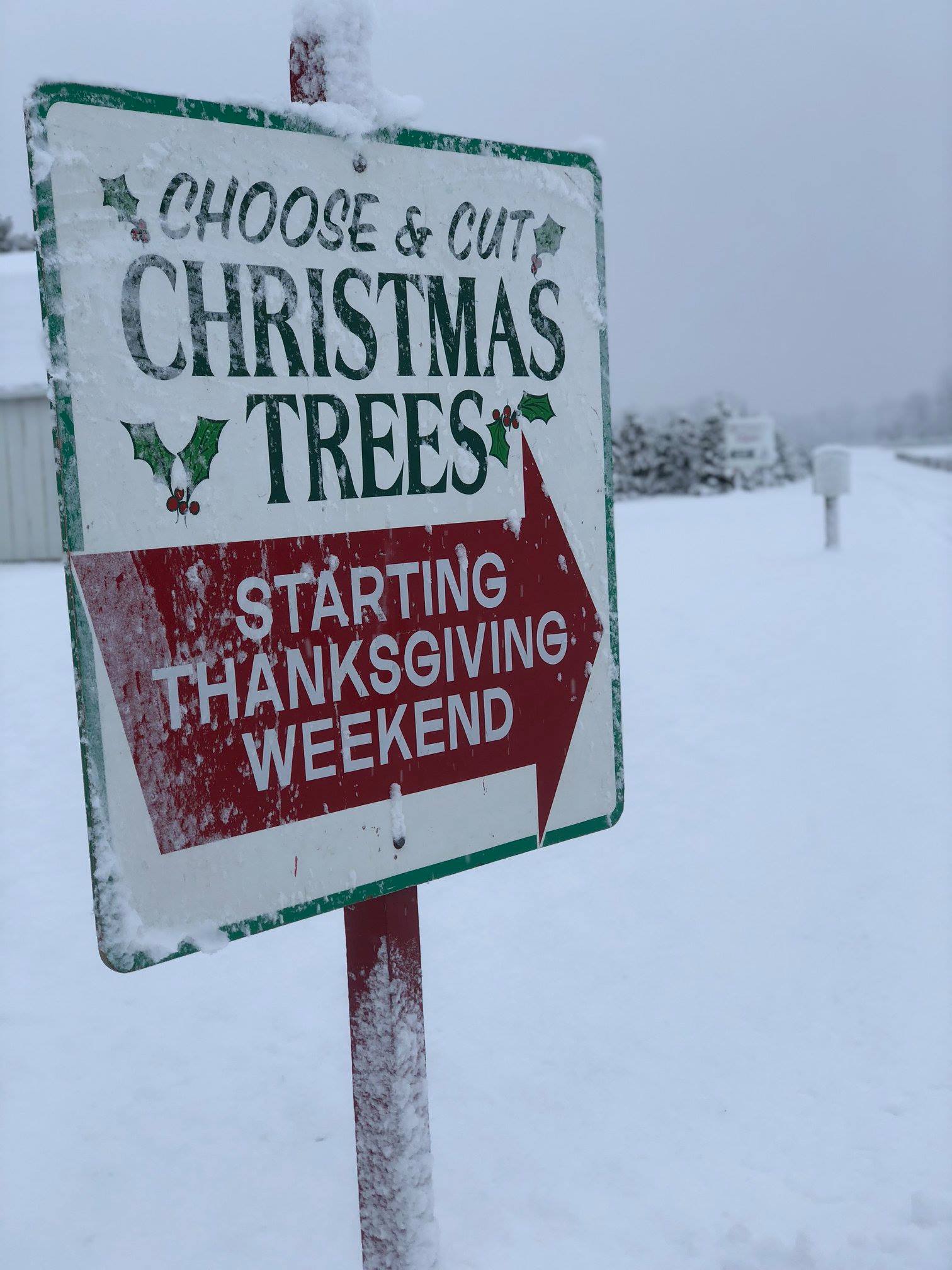 Christmas tree lot sign